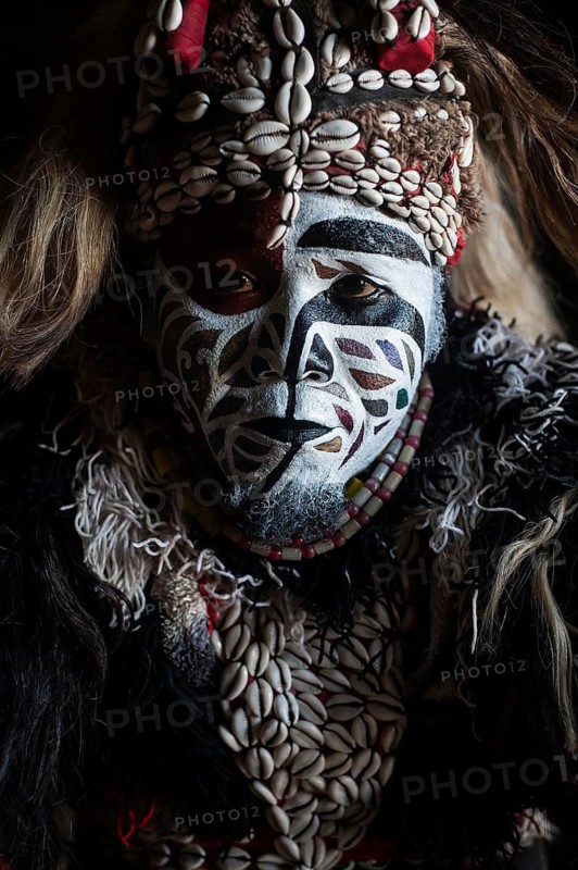 Portrait of a Zimba performer Gambia, Zimba is a masquerade, a dance originally performed by Wolof tribesmen. Traditional culture in west Africa