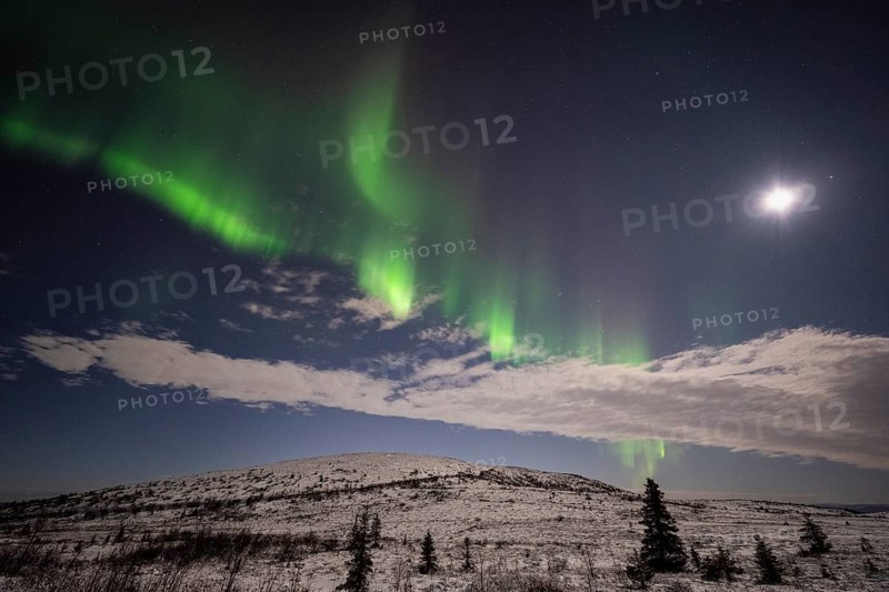 Northern Lights (Aurora borealis) and moonlight, Dundret Nature Reserve, Norrbotten, Lapland, Sweden, November 2022