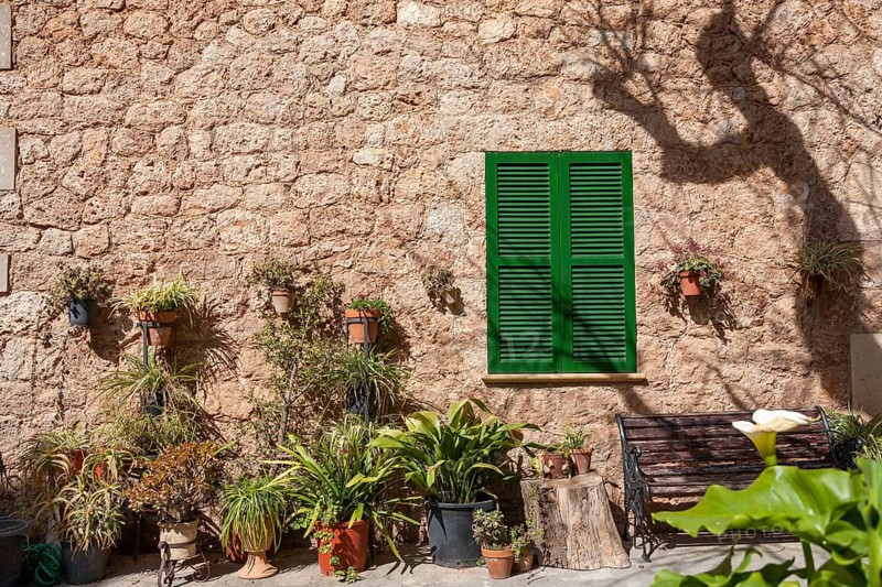 Sunlit stone wall with green shutters and various plants in pots, Majorca, Balearic Islands, Spain
