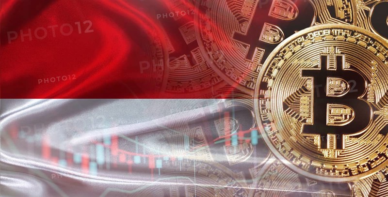 Bitcoin cryptocurrency with Monegasque flag. Investors in Blockchain Technology with Monaco flag background
