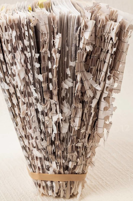 Paper sculpture of loose torn and shredded pages from spiral bound paper note pad held upright together with rubber band on white textured background, Studio Composition, Quebec, Canada