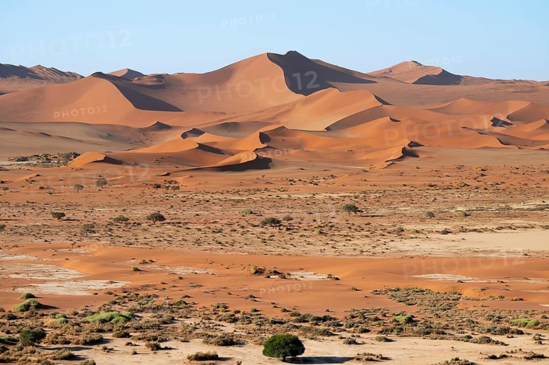 Red yellow sand dunes and white salt pans of the Namib, Namib Desert, Namib-Naukluft National Park, Namibia