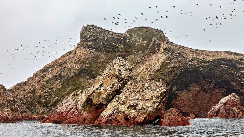 Rough rocks and flying birds over the sea, The rocky coast of the Ballestas Islands near Paracas in Peru