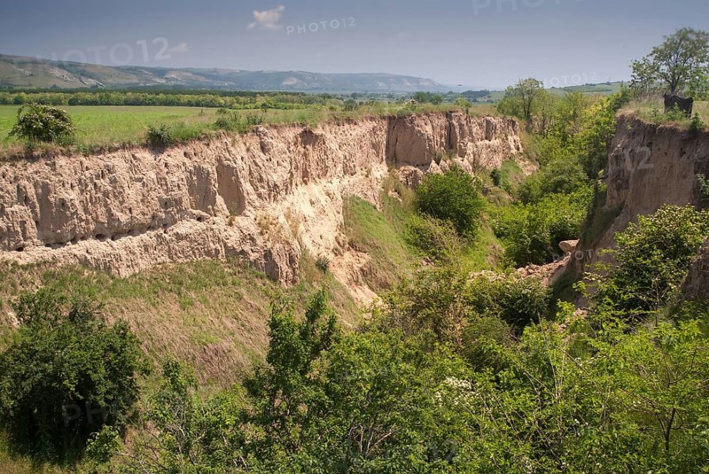 Bee-eaters, bee-eaters, coraciiformes, merops apiasters, birds, Bulgaria, countries, landscape, bee-eater habitat, countries, meropidae, travel, spider, travels, birds