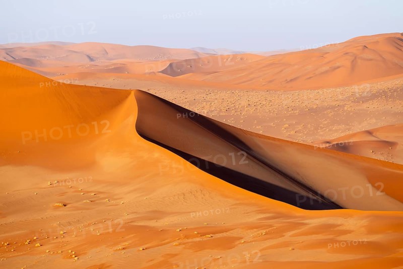 Red and yellow sand dunes of the Namib, Namib Desert, Namib-Naukluft National Park, Namibia