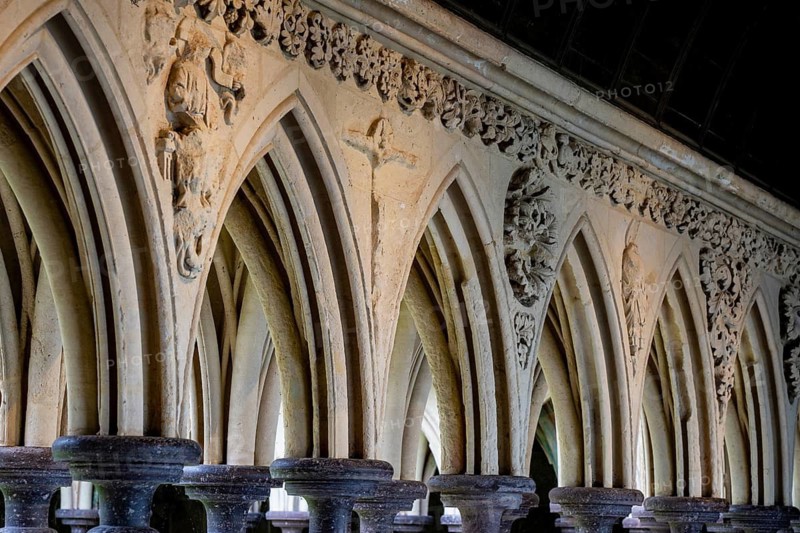 Detailed view of the historic cloister on the upper floor of the Merveille building of the Benedictine Abbey of Mont Saint Michel. Filigree, Norman-Gothic pointed arches with ornate vine leaf reliefs on staggered granite columns, Pontorson, Manche department, Normandy, France