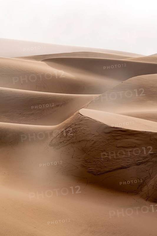 Sand dunes, sea of dunes, sandy desert, impressive desert landscape, Namib Naukluft Park, Namib desert, Namibia