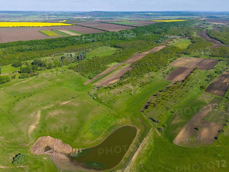 Green and yellow fields stretch across hilly landscape under blue sky, aerial view, landscape near Braniste, Braniste, Hundred Hills Landscape Reserve, Riscani, Republic of Moldova, Moldova