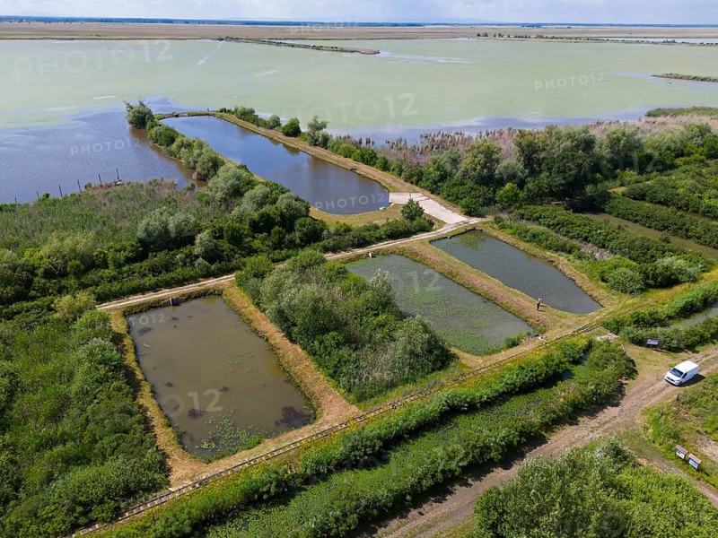 Aerial view of several ponds in a green landscape with lush vegetation, aerial view, Hortobagyer fish ponds, Hortobágyi halastó, Hortobagy National Park, Hortobágyi Nemzeti Park, Hortobágyi Csillagoségbolt Park, Puszta, steppe area, UNESCO Biosphere Reserve, Hungary