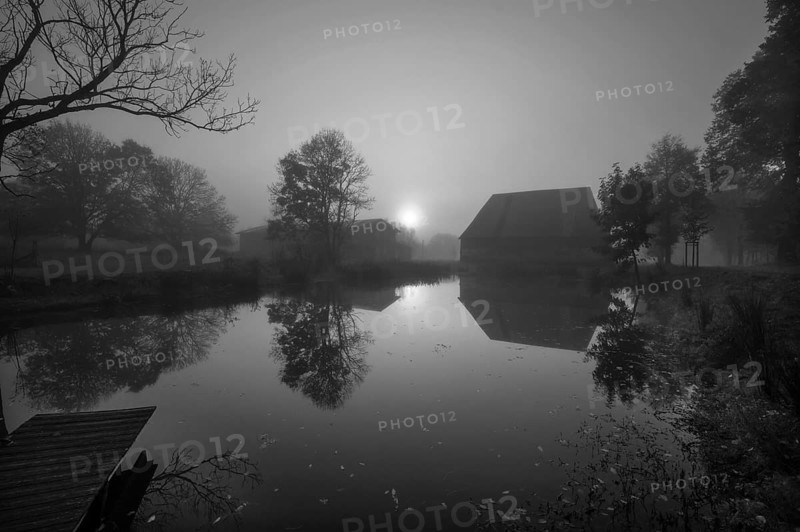 Morning sun over the estate pond on a foggy morning at Gut Othenstorf, black and white, Othenstorf near Rehna, Mecklenburg-Western Pomerania, Germany