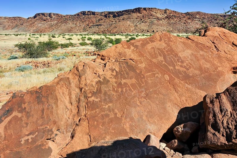 Rock carvings in an African savanna landscape with mountains and vegetation in the background, The prehistoric rock carvings near Twyfelfontein in Namibia