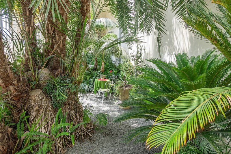 An idyllic seating area in a palm house, Kromeríž, Zlínský kraj, Czech Republic
