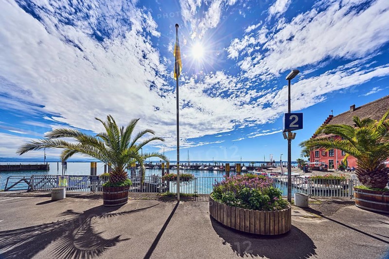 Lake Lake Constance, road, flagpole, lantern, planter with palm tree, flower pot, metal railing, metal fence, jetty, pleasure boats, shade of a palm tree, backlight of the sun, blue sky, altocumulus clouds, cumulus clouds, lakeside promenade, Meersburg, Lake Constance, Lake Constance district, Baden-Württemberg, Germany