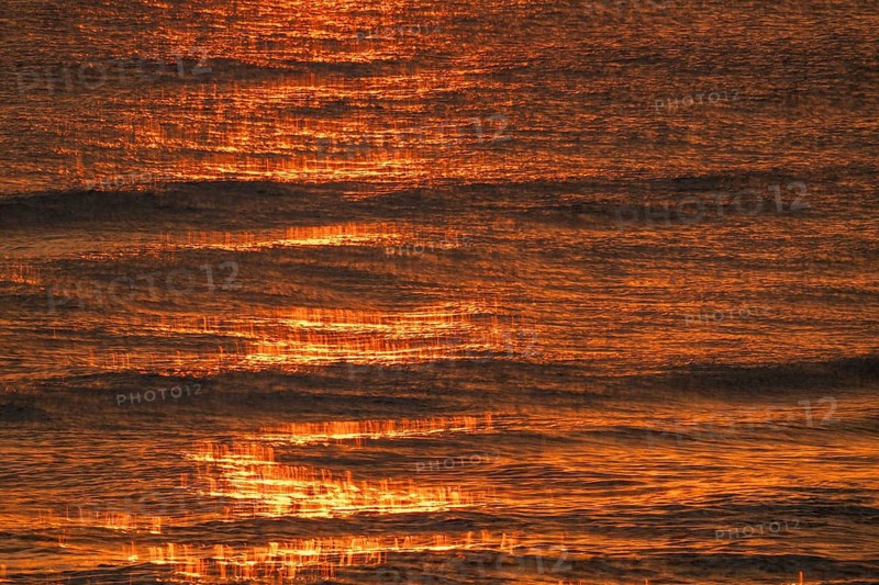 Setting sun colors the sea and small waves golden, Houvig Beach, North Sea, Denmark