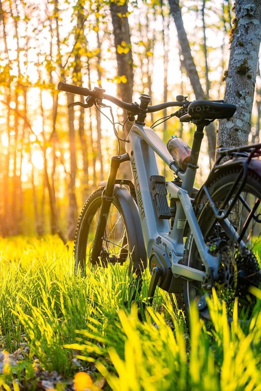 An e-bike in the forest at sunset, surrounded by bright greenery and young trees, e-bike, Gechingen, Heckengäu region, Germany