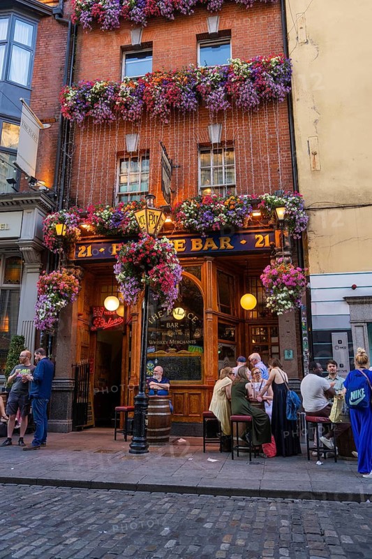 Lively pub with floral arrangements and people relaxing in a warmly lit setting, Dublin, Ireland