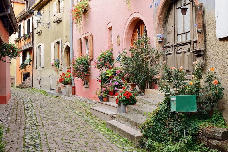 Houses in a lane, Eguisheim, Haut-Rhin, Alsace, Grand Est, France