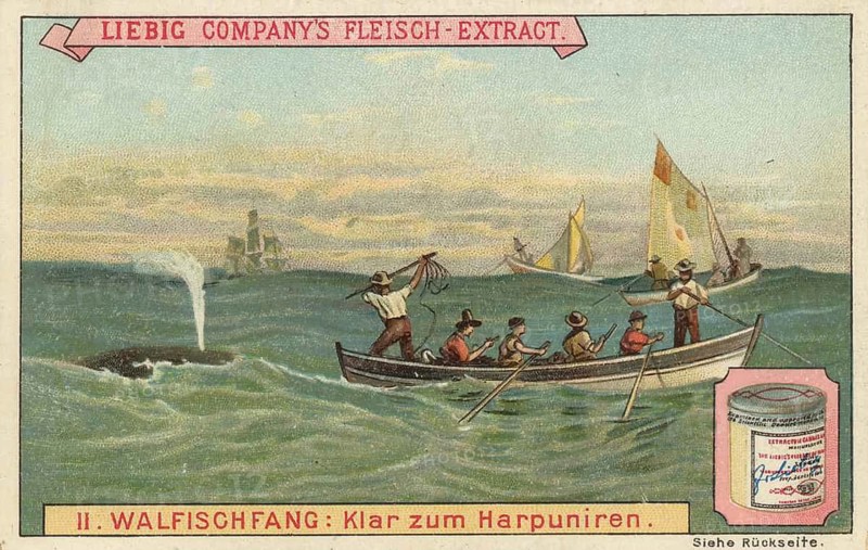 Whaling picture series, showing the dramatic moment of a whale hunt in the open sea, in which men stand ready in a rowing boat to harpoon a whale, favorite picture, digitally restored reproduction of a collector's painting from around 1900, exact date unknown