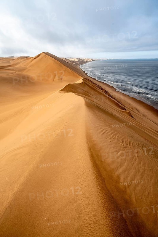 Sand dunes and sea in the morning, Atlantic coast and sandy desert with sea of dunes, Sandwich Harbour, Namib Naukluft Park, Namib Desert, Namibia