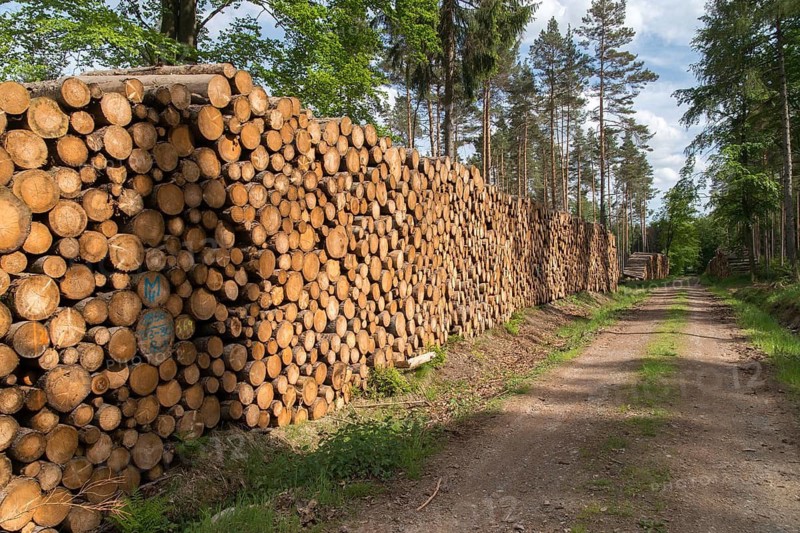 Logging, intensive forestry, intensive forestry