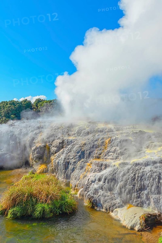 Prince of Wales and Pohutu geysers erupting, Te Puia Thermal Valley, Rotorua, Bay of Plenty, North Island, New Zealand