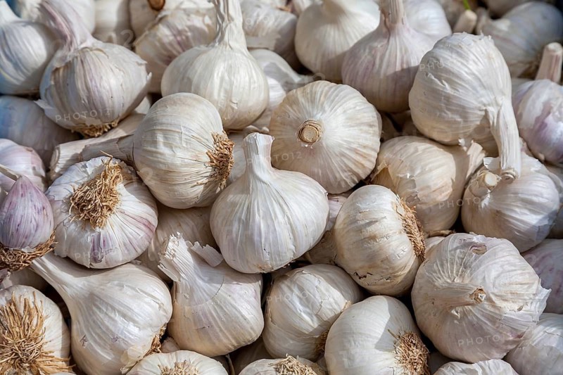 Countless white garlic bulbs lying close together, Majorca, Balearic Islands, Spain