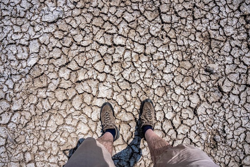 Dried riverbed, brittle floes, extreme low water, Rhine level at 41 cm, downward trend, freighters must sail with reduced load, after the long drought, the left bank of the Rhine falls dry near Düsseldorf Oberkassel, North Rhine-Westphalia, Germany