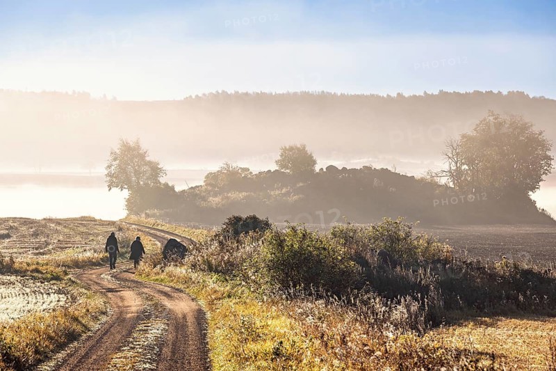 Two people walking along rural dirt road in soft morning light with mist rises over the surrounding fields and trees