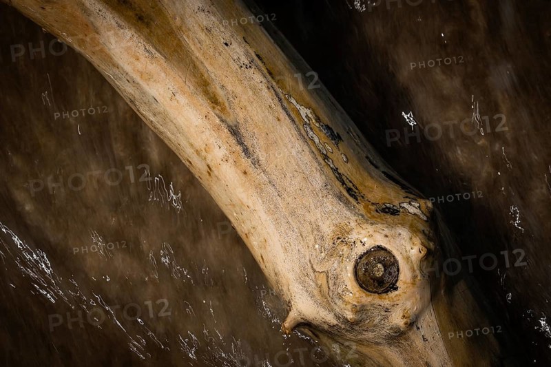 Piece of driftwood washed by surf, Houvig Beach, North Sea, Denmark