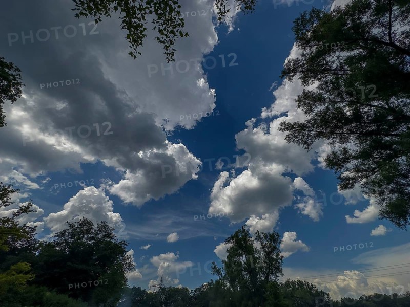 Accumulation of Cumulus cluster clouds, cumulus clouds, fair weather clouds against a blue sky