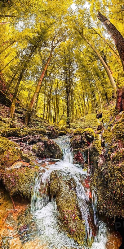 A waterfall winds through a sun-drenched forest in yellow tones, atmospheric, hiking in the Schwarza Valley nature park Reserve, Thuringian Slate Mountains, Thuringian Forest Nature Park