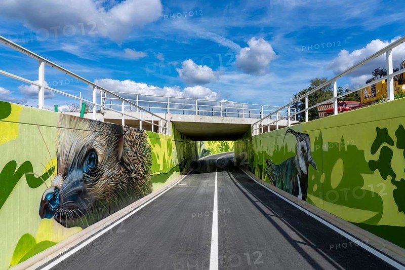New bicycle tunnel at the junction of the B51 and Warendorfer Straße, in Münster, a bicycle and pedestrian tunnel, 150 metres long, 5.50 metres wide, crosses under the busy roads so that cyclists and pedestrians can pass without crossing, route to and from Münster city centre, visually designed with local motifs as murals, by Lackaffen.de, modern bicycle infrastructure, North Rhine-Westphalia, Germany
