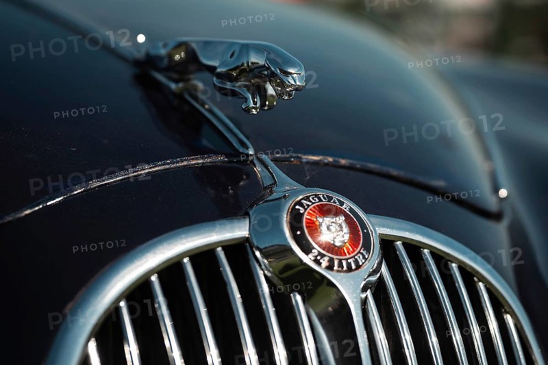 WROCLAW, POLAND - MAY 1, 2026: Close-up detail of classic luxury car JAGUAR front grille and hood ornament, showcasing automotive design, elegance and vintage vehicle style