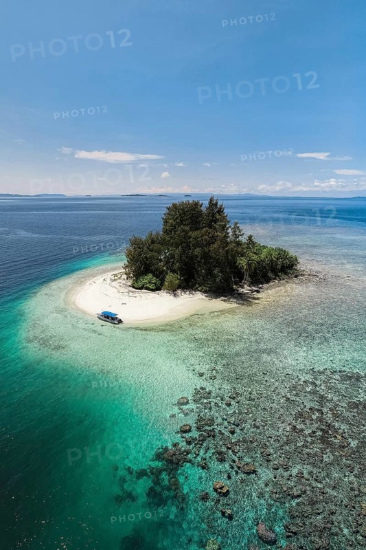 Aerial view of small tropical island with coral reef and turquoise water, Raja Ampat, West Papua, Indonesia