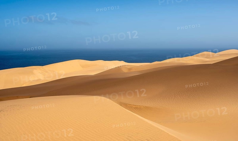 Sand dunes with wave patterns, dune sea, sandy desert, impressive desert landscape, Namib Naukluft Park, Namib desert, Namibia