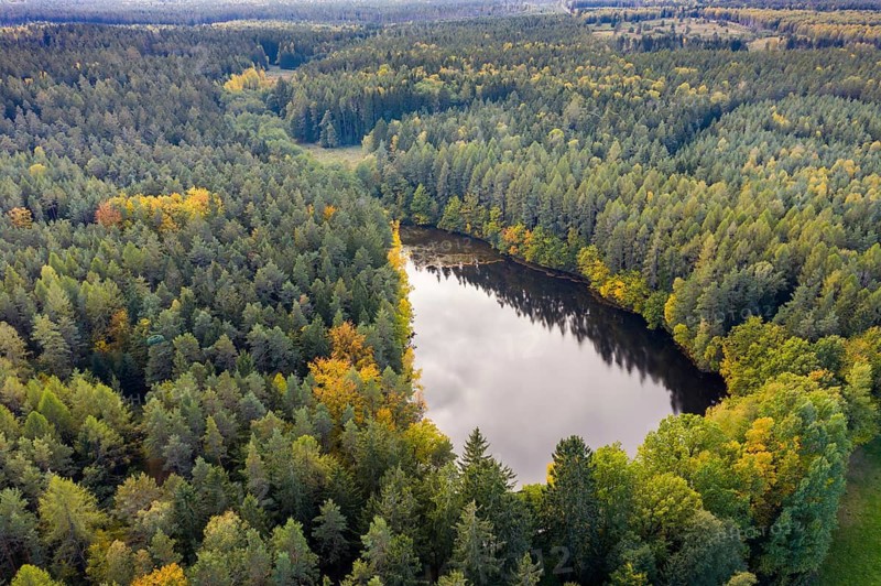 Floating ponds, Germany, Pöllwitz Forest, Thuringia, Lower Floeßteich, aerial view, landscape, aerial view, landscape, aerial view, Vogtland