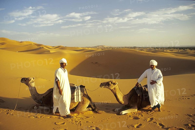 Morocco, two camel drivers, Bedouins, camels, camels, desert, sand dune in the Ziz Valley, Ziz Valley, Morocco