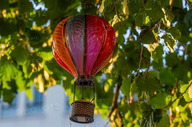 Small hot air balloon decoration hanging in a tree surrounded by green foliage in sunlight, Dublin, Ireland