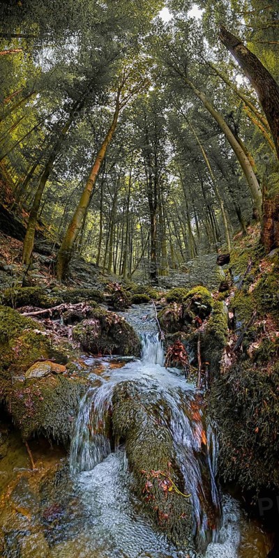 A small waterfall flows through a moss-covered forest, pierced by bright sunlight, atmospheric, hiking in the Schwarza Valley nature park Reserve, Thuringian Highlands, Thuringian Forest Nature Park