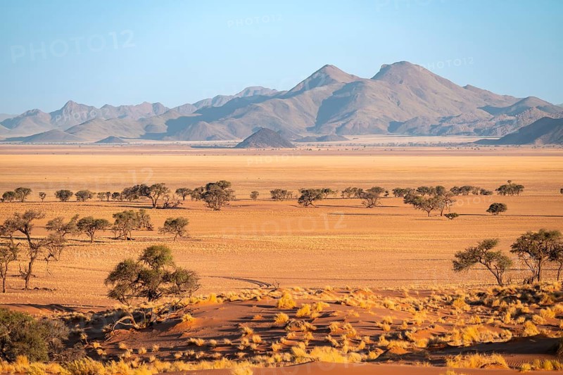 Dry landscape in the NamibRand nature reserve, behind Naukluft Mountains, Namib Desert, Namibia