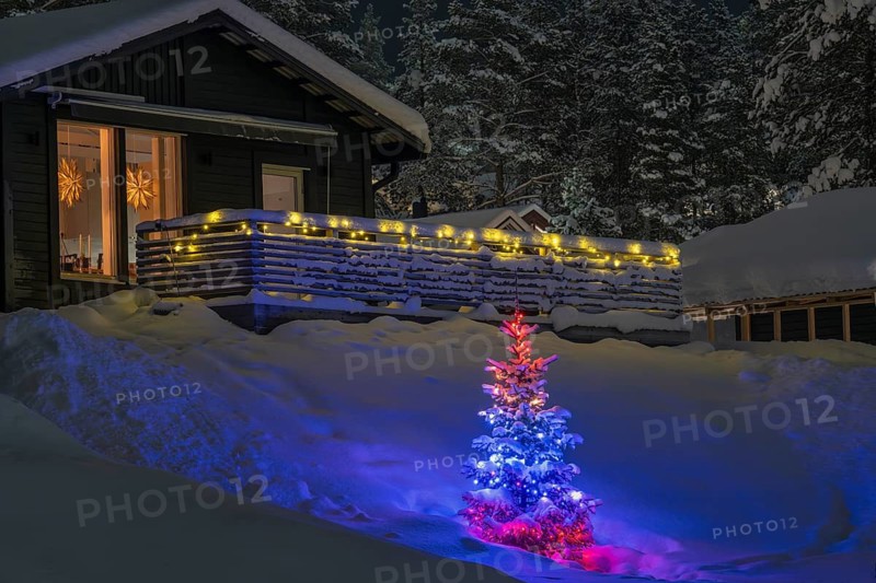 Colourfully lit Christmas tree in front of snowy wooden house, Gällivare, Norrbotten, Lapland, Sweden, December 2023
