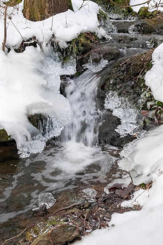 Stream, brook, ice, flowing water, high size, portrait format, ice, landscape, snow, snow, winter