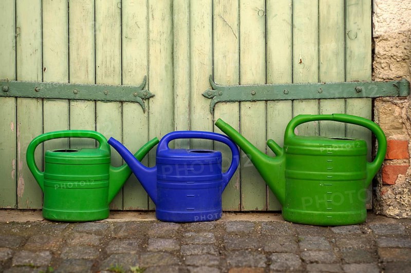 Watering cans stand in front of green gate, Altstadt, Besigheim an der Enz, Baden-Württemberg, Germany