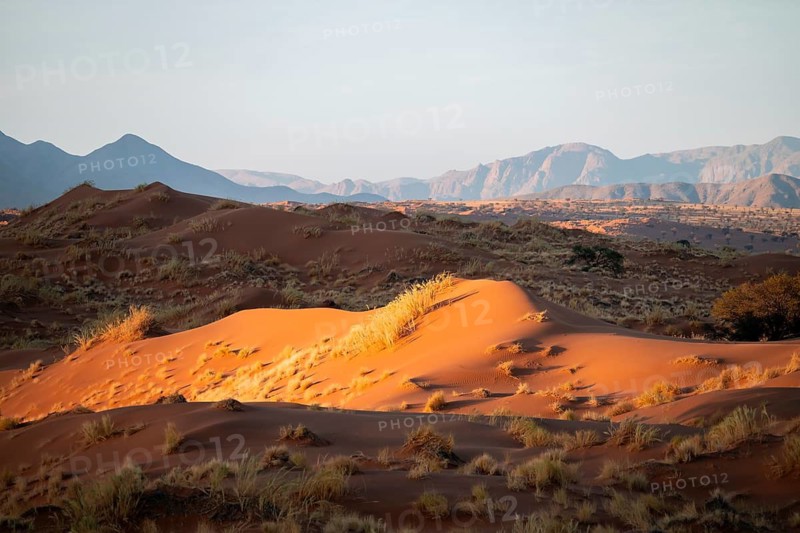 Sand dunes, landscape in the NamibRand nature reserve, in the background Naukluft Mountains, Namib Desert, Namibia
