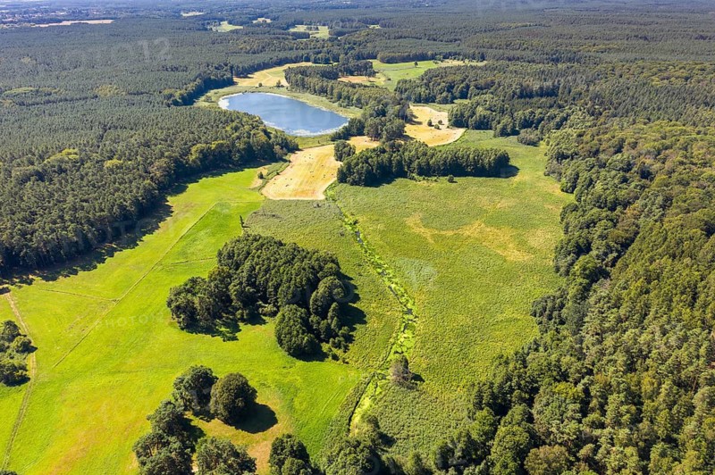 Barnim, Brandenburg, FFH area, Finow Valley, Finowtal-Pregnitzfließ, Germany, Lehnssee, Natura 2000, Barnim nature park Park, aerial view, landscape, aerial view, nature reserve, summer