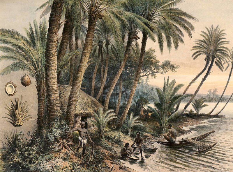 Tropical coastal landscape with coconut trees, a straw hut village and locals in a dugout canoe. On the shore, people are depicted arriving by boat, washing or preparing food, around 1890, Africa, school picture, illustration, reproduction from a model from the 19th century. School picture, mural, authentic, file restored for optimal use, exact date of original unknown, historical