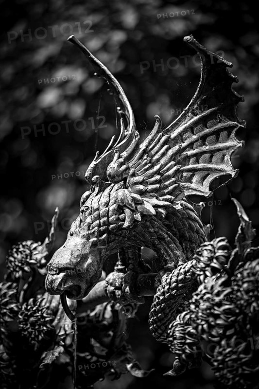 A detailed black and white dragon sculpture with distinctive wings and artistic details, decorations on the Wartburg near Eisenach in Thuringia