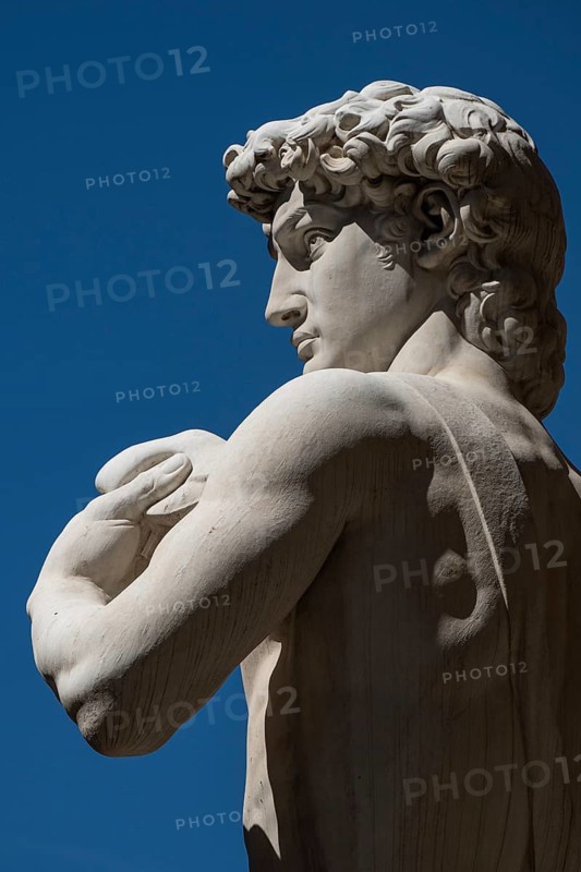 Detail, marble statue David by Michelangelo in front of Palazzo Vecchio, Piazza della Signoria, Florence, Tuscany, Italy