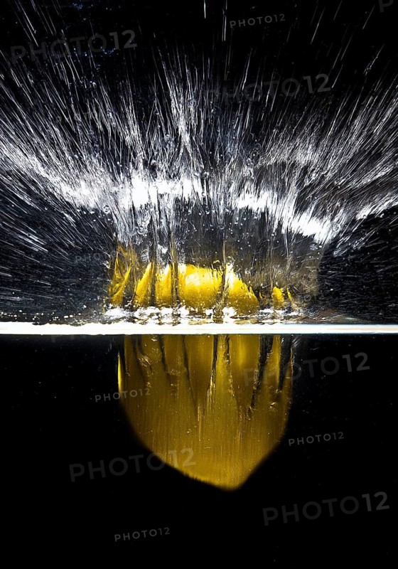 A fresh yellow lemon (Citrus limonum) falls into the water, creating a splash and air bubbles, against a black background