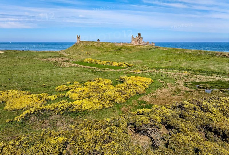 Aerial photo of Dunstanburgh Castle at the north sea coast in Northumberland, England, UK